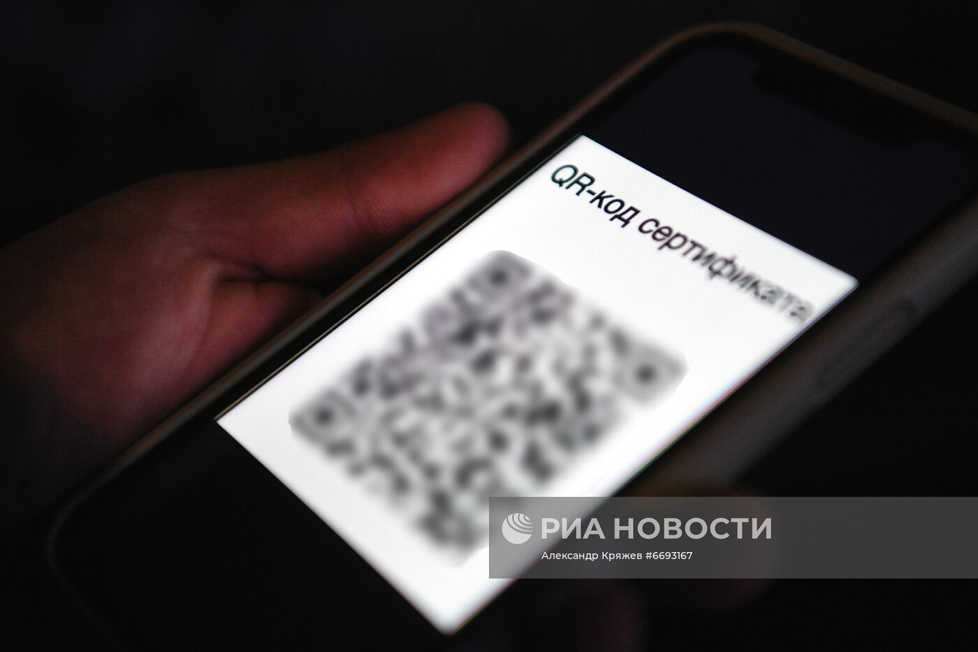 Проверка работы системы QR-кодов на предприятиях общепита в Новосибирске