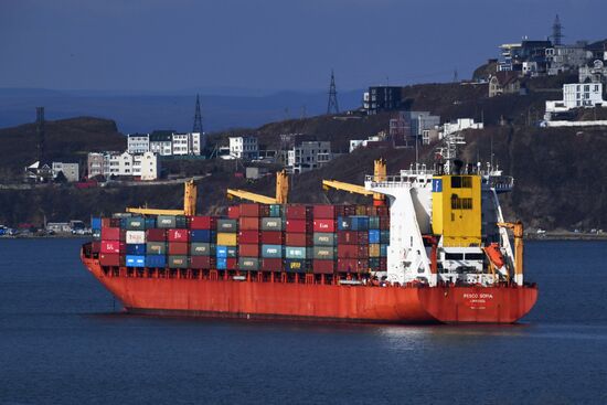 Контейнерные перевозки грузов в порту Владивостока