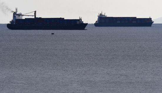Контейнерные перевозки грузов в порту Владивостока