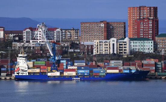 Контейнерные перевозки грузов в порту Владивостока