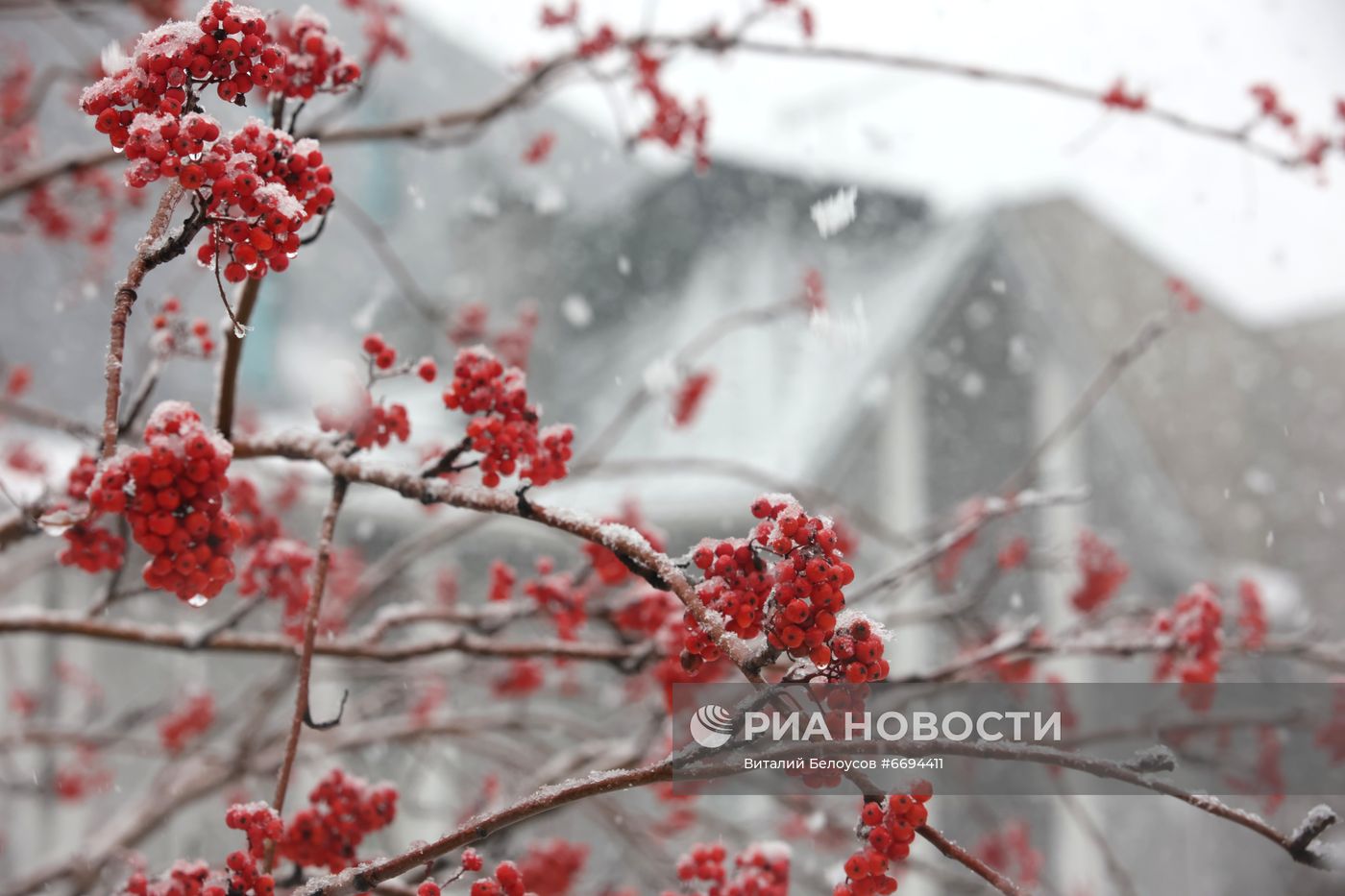 Снегопад в Москве 