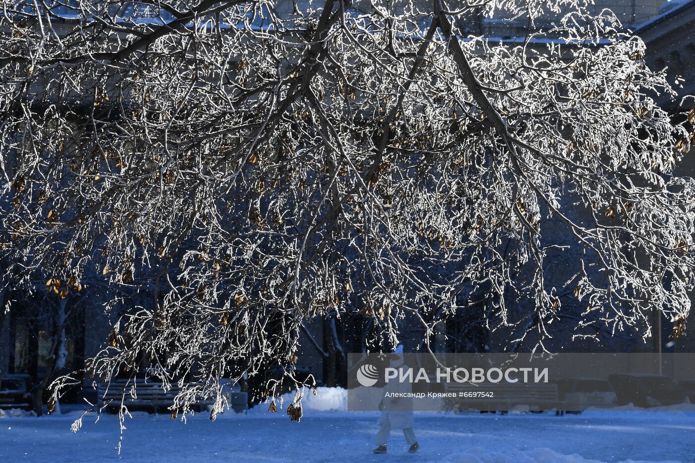 Снег в Новосибирске