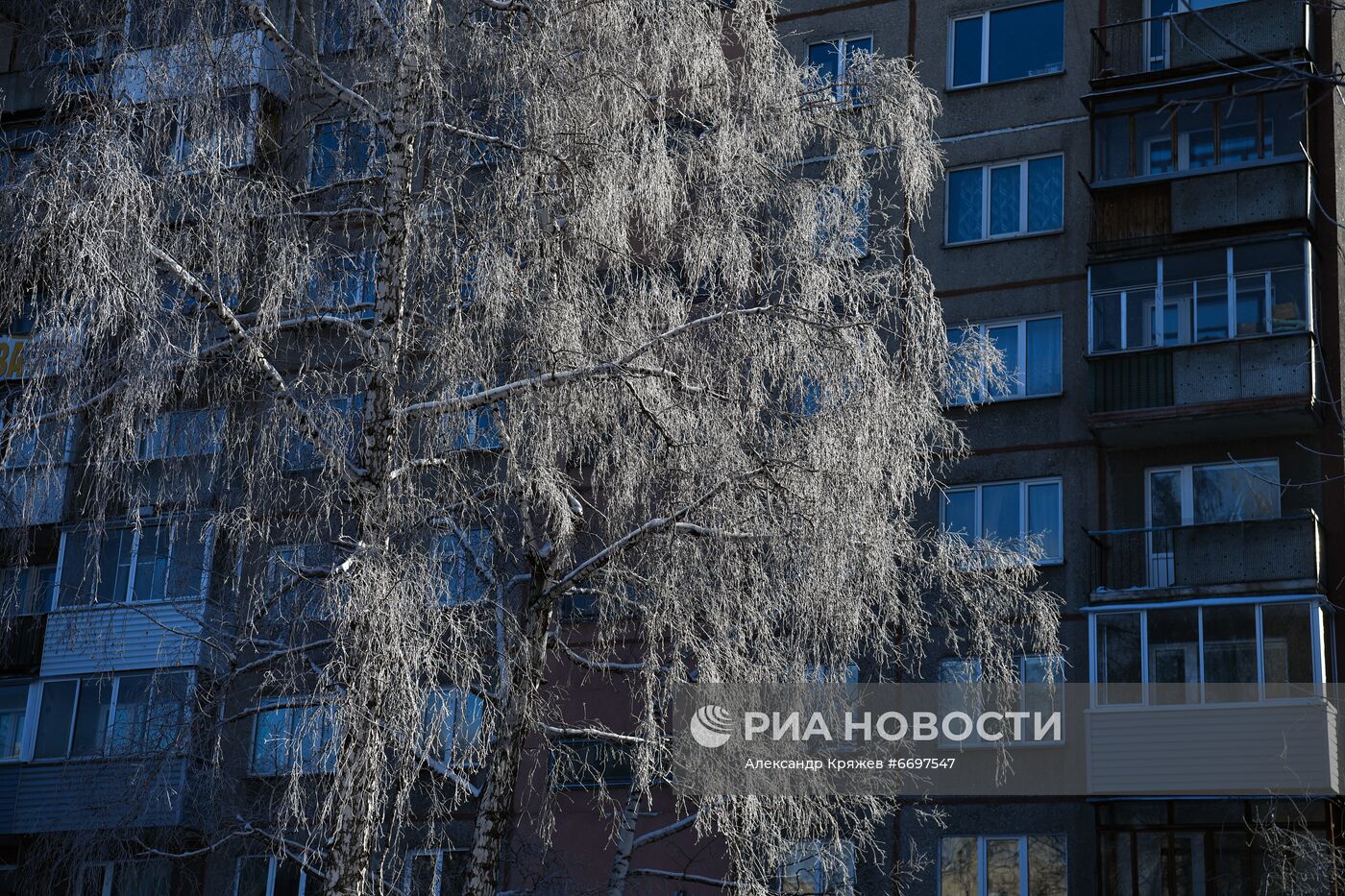 Снег в Новосибирске