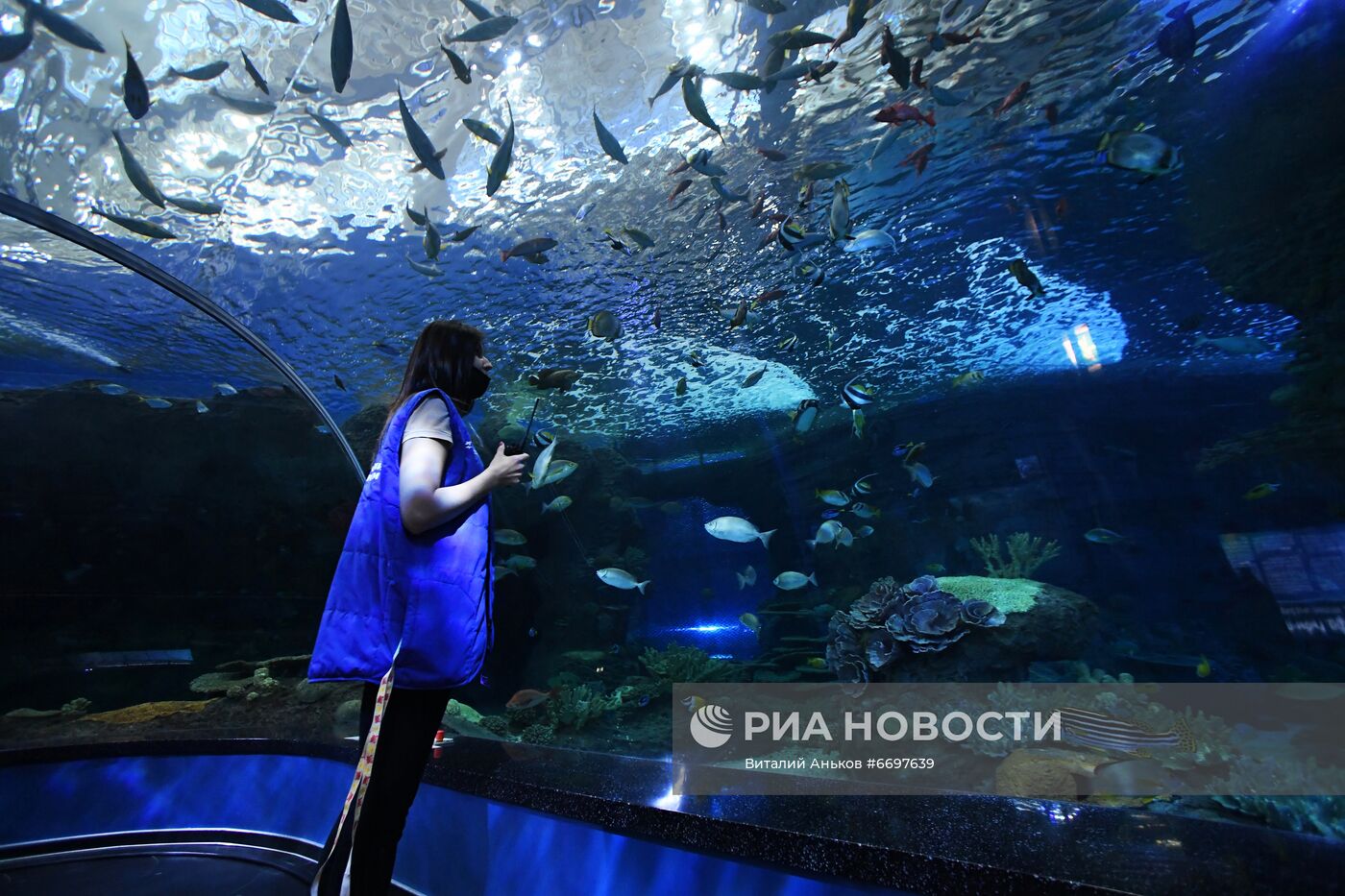 Кормление обитателей Приморского океанариума