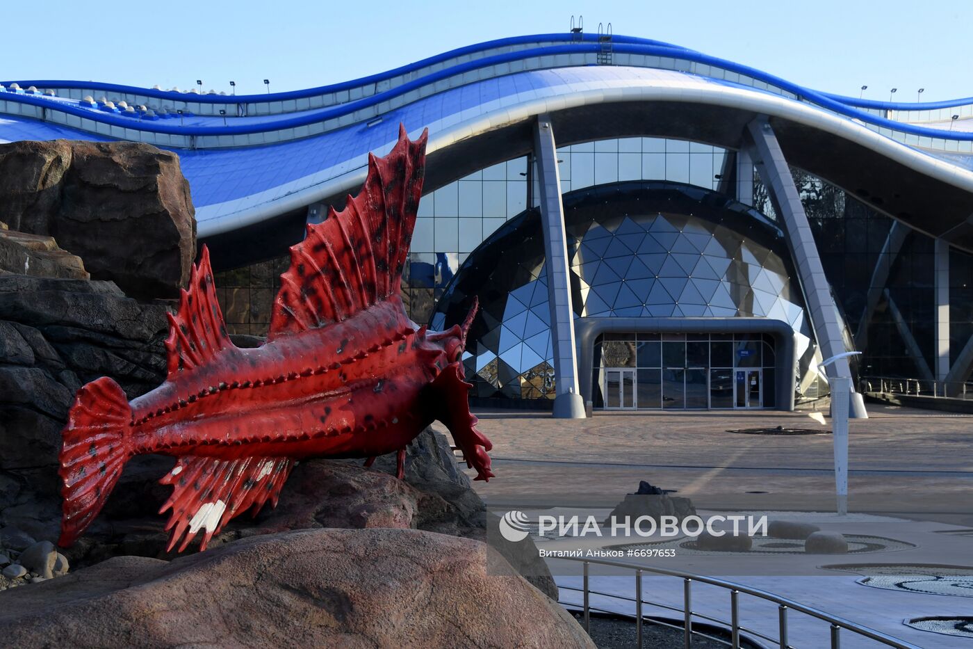 Кормление обитателей Приморского океанариума