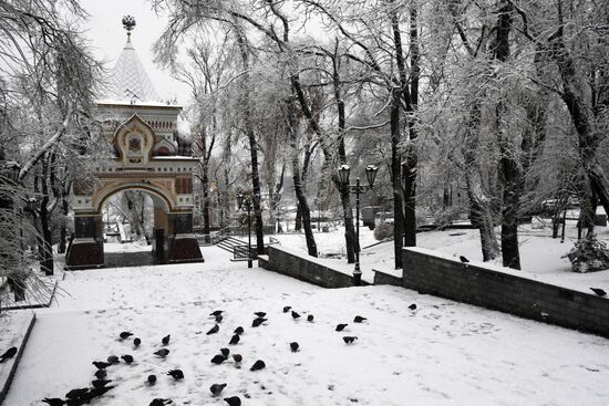 Первый снег во Владивостоке