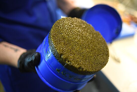 Продажа икры и рыбы в Москве