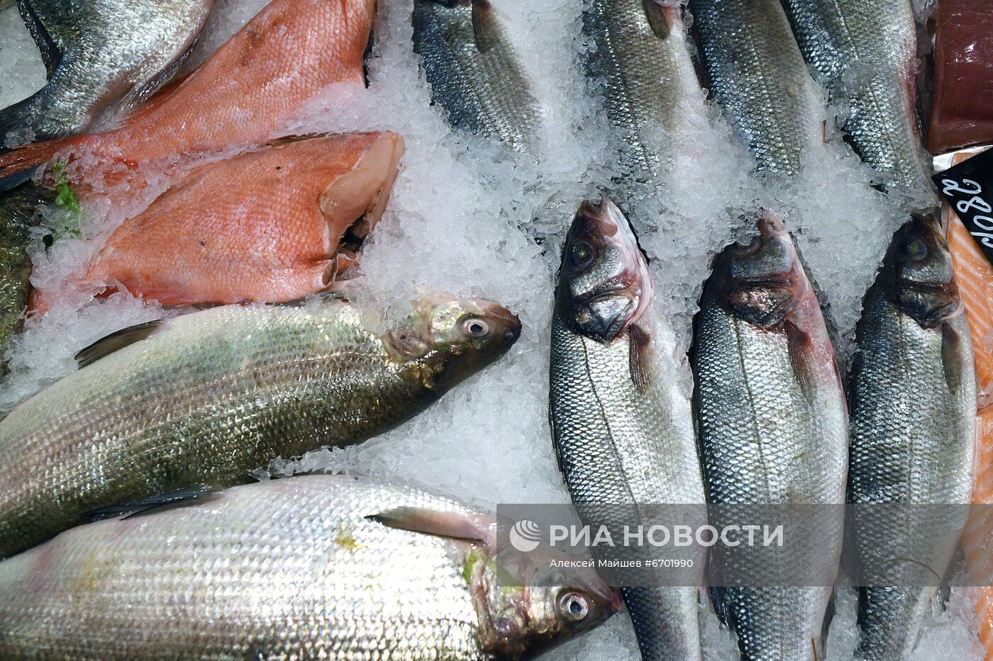 Продажа икры и рыбы в Москве