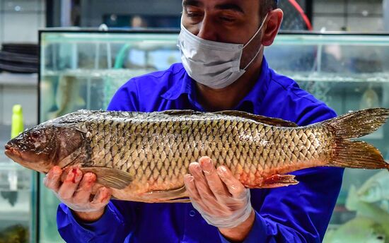 Продажа икры и рыбы в Москве