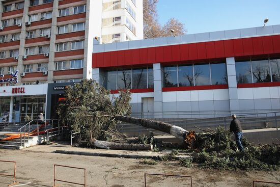 Последствия ураганного ветра в Краснодарском крае