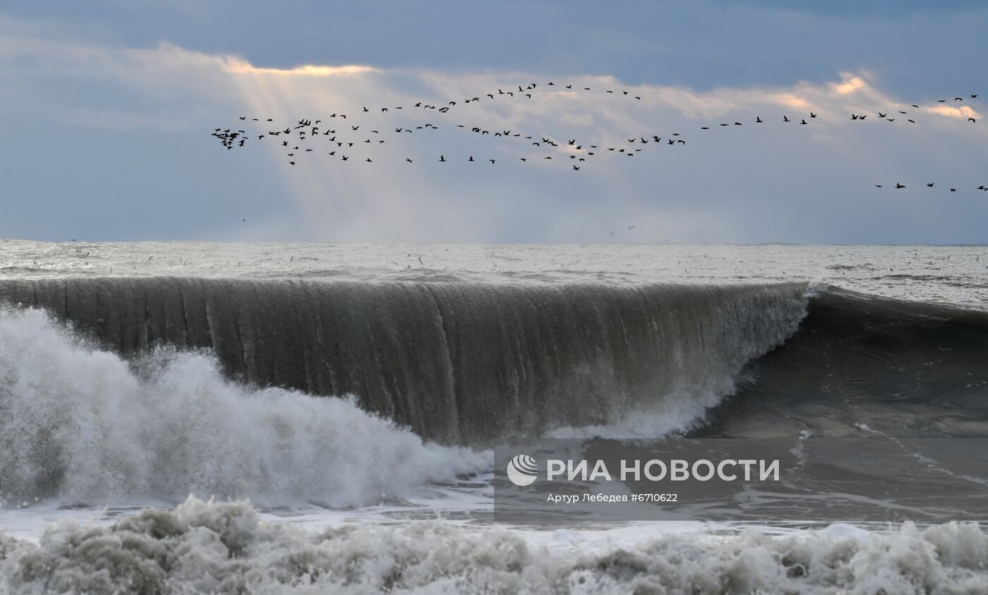 ФОТО НЕДЕЛИ
