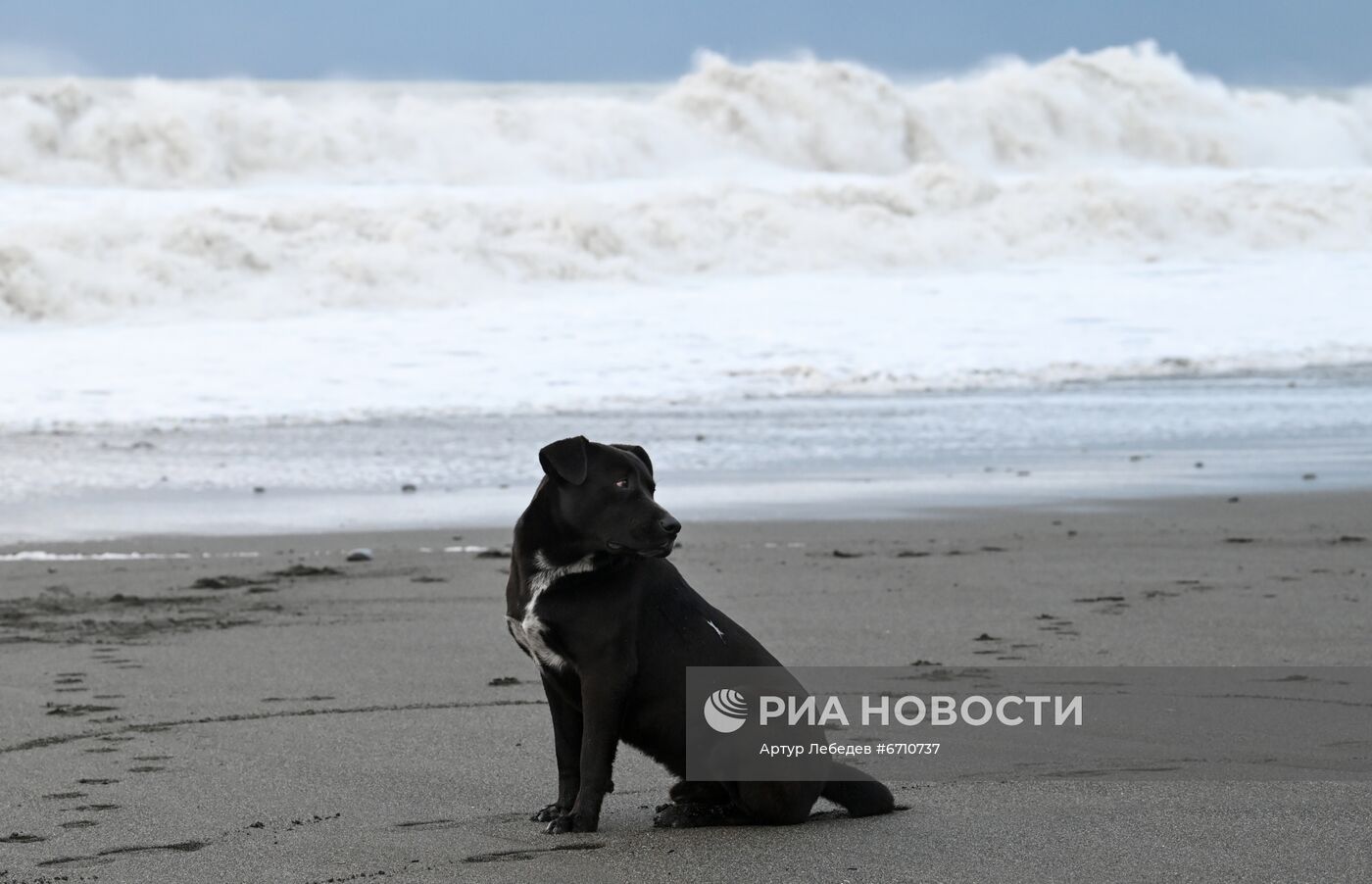 Шторм в Сочи