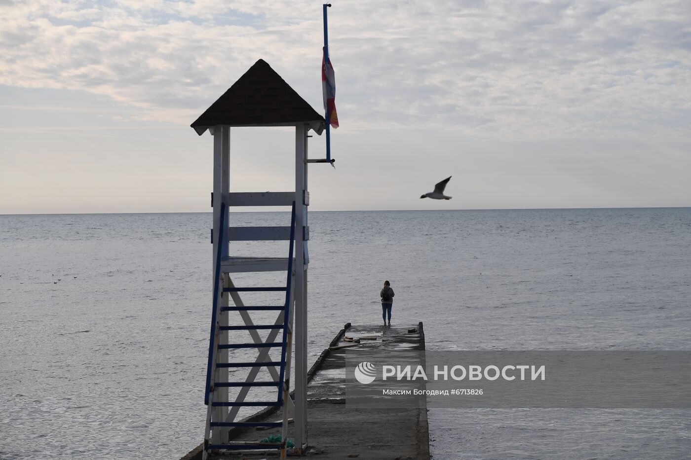 Подготовка к Конгрессу молодых ученых в Сочи