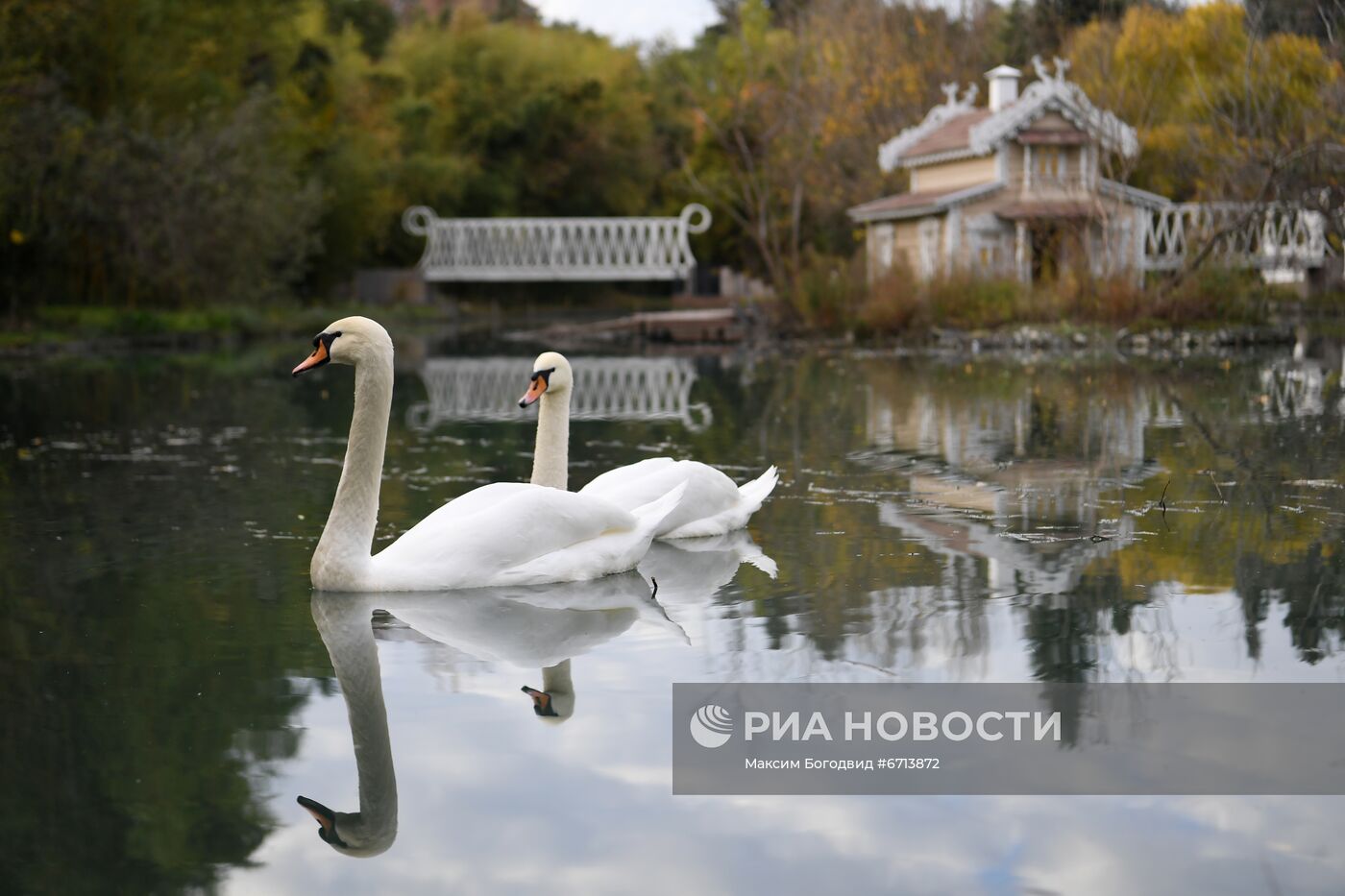 Подготовка к Конгрессу молодых ученых в Сочи