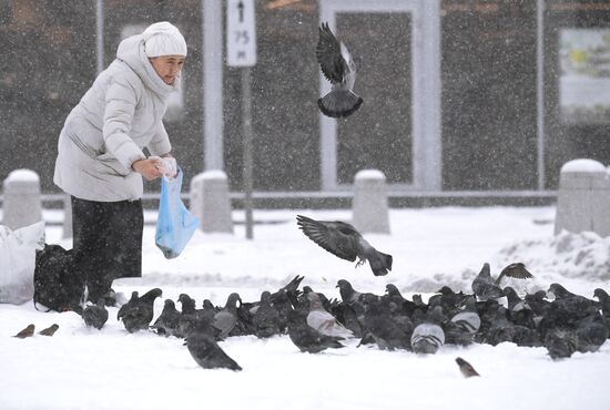 Снег в Москве