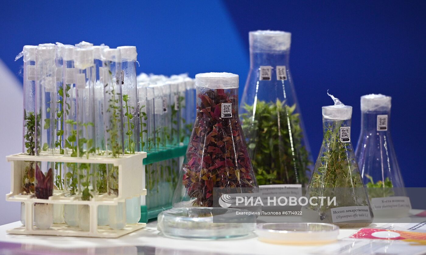 Конгресс молодых ученых и закрытие Года науки и технологий