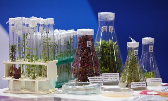 Стенд Российского государственного аграрного университета – МСХА им. К. А. Тимирязева на Конгрессе молодых ученых в Сочи. Фото могут быть использованы при наличии обязательной ссылки на источник. Место: Россия, Краснодарский край, Сочи. Автор: Екатерина Лызлова. Конгресс молодых ученых и закрытие Года науки и технологий