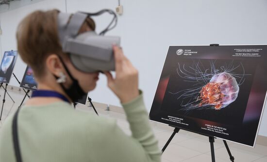 Посетительница фотовыставки на Конгрессе молодых ученых в Сочи. Фото могут быть использованы при наличии обязательной ссылки на источник. Место: Россия, Краснодарский край, Сочи. Автор: Виталий Тимкив. Конгресс молодых ученых и закрытие Года науки и технологий