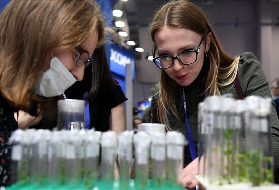 Участницы Конгресса молодых ученых в Сочи. Фото могут быть использованы при наличии обязательной ссылки на источник. Место: Россия, Краснодарский край, Сочи. Автор: Александр Кряжев. Конгресс молодых ученых и закрытие Года науки и технологий