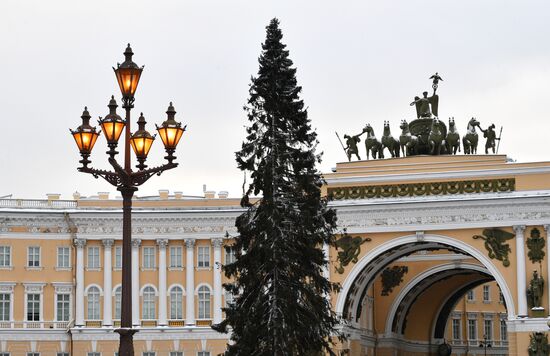 Главную новогоднюю ель Петербурга доставили на Дворцовую площадь