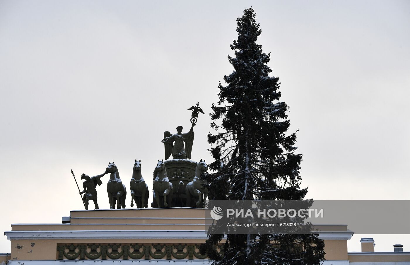 Главную новогоднюю ель Петербурга доставили на Дворцовую площадь