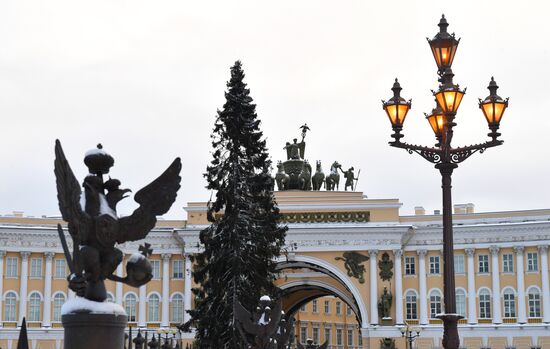 Главную новогоднюю ель Петербурга доставили на Дворцовую площадь