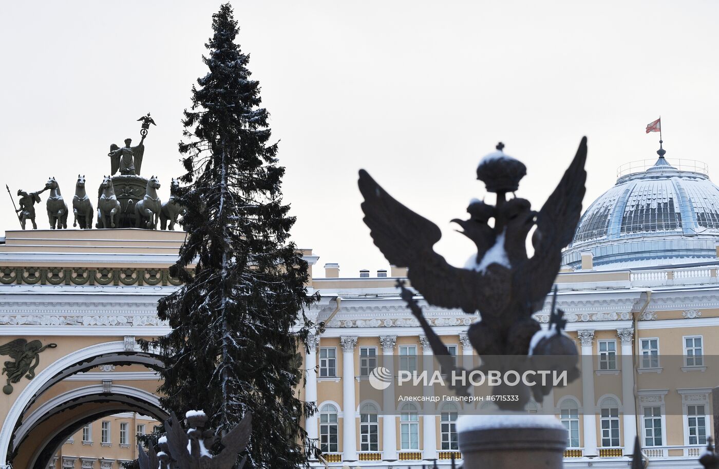 Главную новогоднюю ель Петербурга доставили на Дворцовую площадь