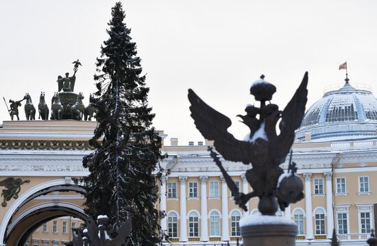 Главную новогоднюю ель Петербурга доставили на Дворцовую площадь