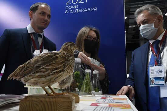 Участники Конгресса молодых ученых в Сочи. Фото могут быть использованы при наличии обязательной ссылки на источник. Место: Россия, Краснодарский край, Сочи. Автор: Владимир Астапкович. Конгресс молодых ученых и закрытие Года науки и технологий