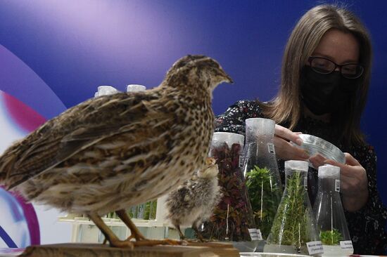 Участники Конгресса молодых ученых в Сочи. Фото могут быть использованы при наличии обязательной ссылки на источник. Место: Россия, Краснодарский край, Сочи. Автор: Владимир Астапкович. Конгресс молодых ученых и закрытие Года науки и технологий