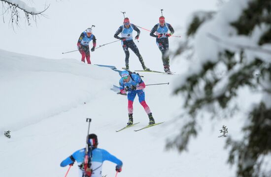 Биатлон. III этап Кубка мира. Мужчины. Гонка преследования