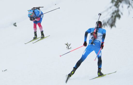 Биатлон. III этап Кубка мира. Мужчины. Гонка преследования