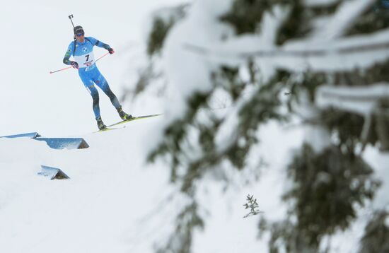 Биатлон. III этап Кубка мира. Мужчины. Гонка преследования