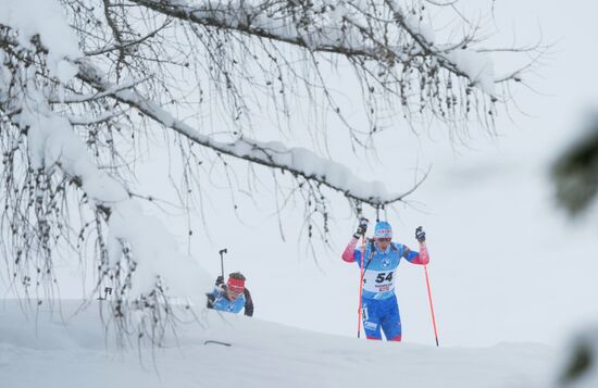 Биатлон. III этап Кубка мира. Мужчины. Гонка преследования