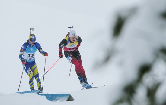 Биатлон. III этап Кубка мира. Мужчины. Гонка преследования