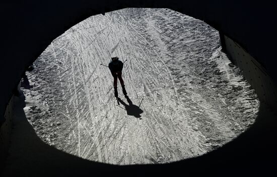 Биатлон. III этап Кубка мира. Мужчины. Эстафета