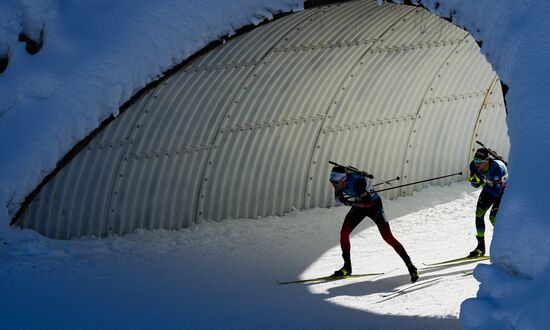 Биатлон. III этап Кубка мира. Мужчины. Эстафета