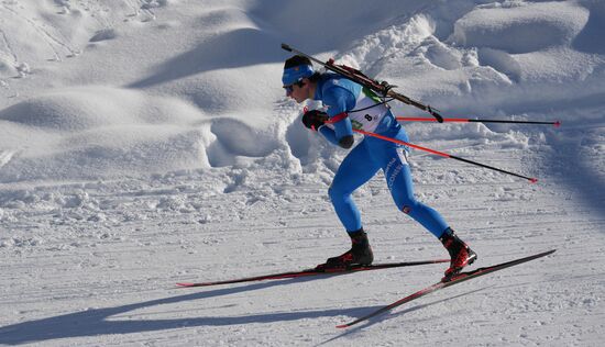 Биатлон. III этап Кубка мира. Мужчины. Эстафета