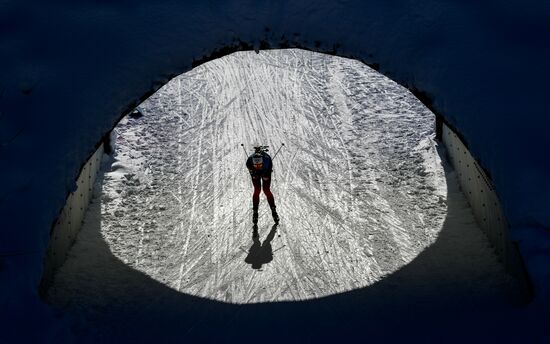 Биатлон. III этап Кубка мира. Мужчины. Эстафета