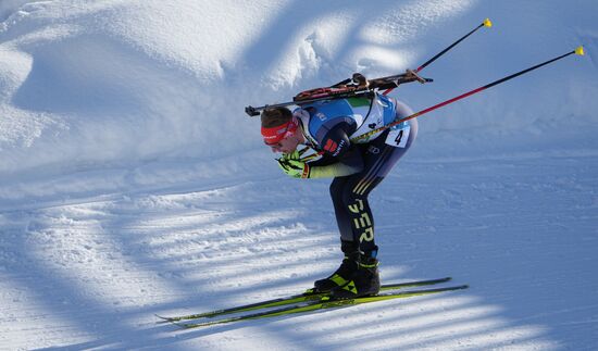 Биатлон. III этап Кубка мира. Мужчины. Эстафета