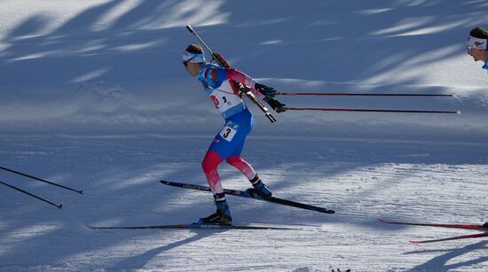 Биатлон. III этап Кубка мира. Мужчины. Эстафета