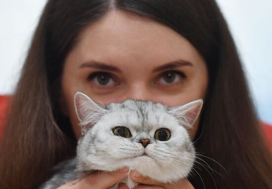 Международная выставка кошек в Минске