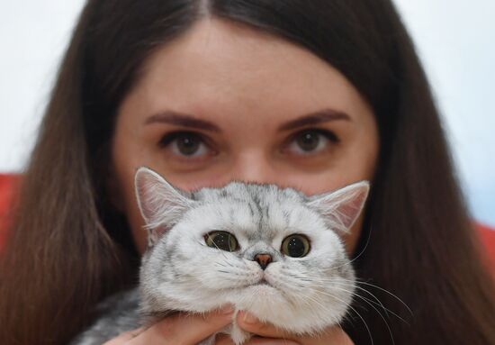 Международная выставка кошек в Минске