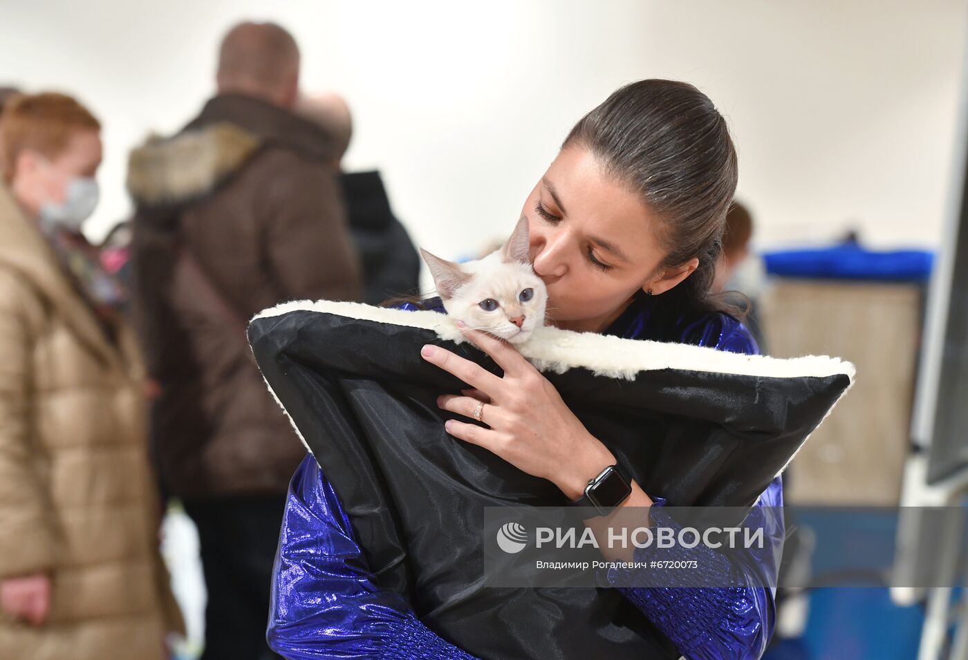 Международная выставка кошек в Минске