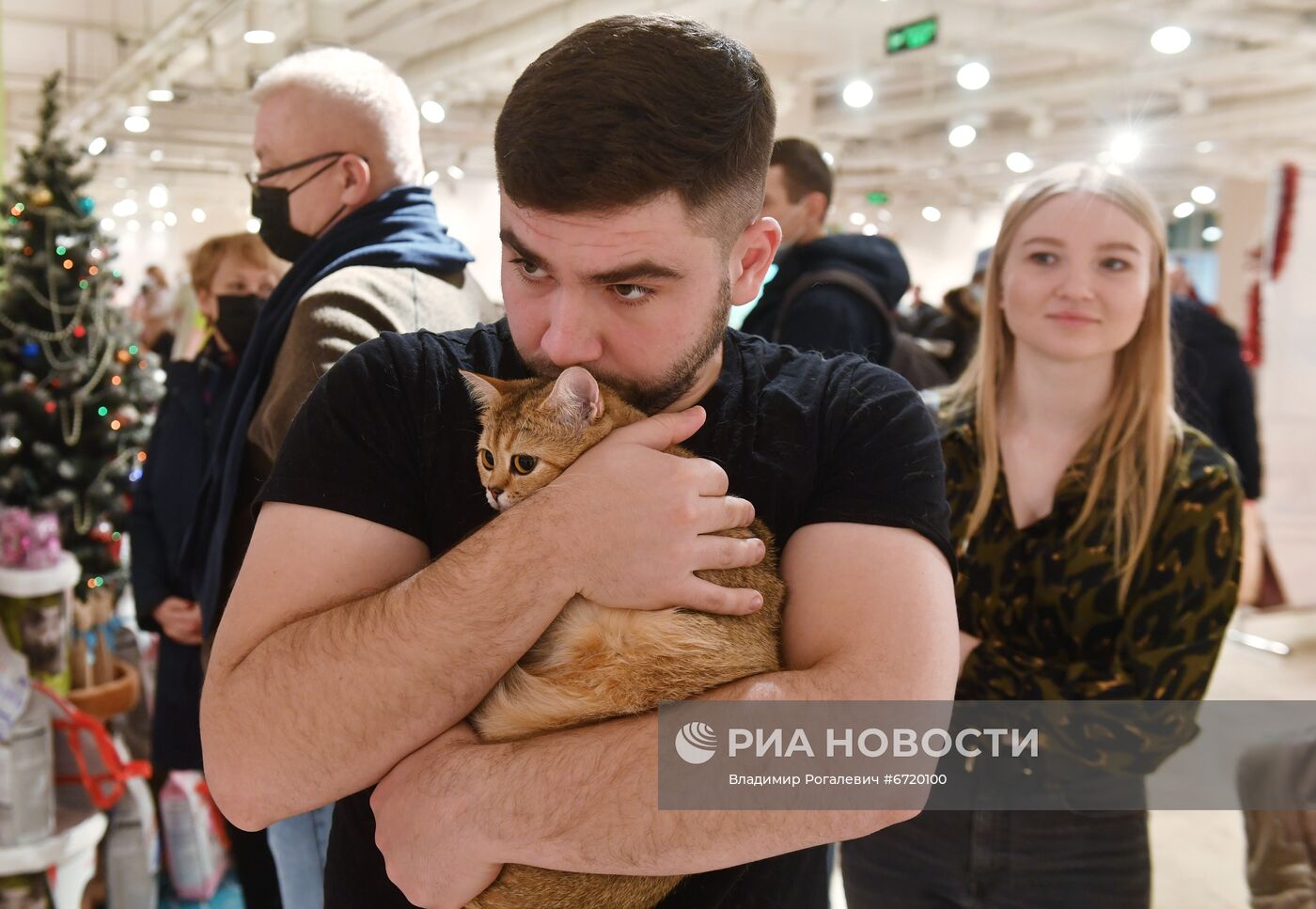 Международная выставка кошек в Минске