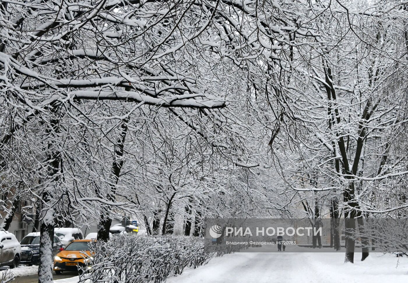 Снег в Москве