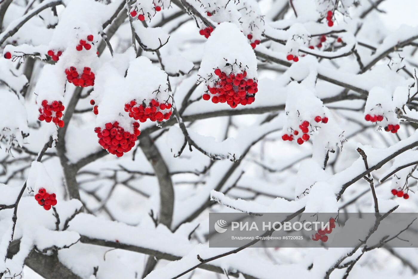 Снег в Москве