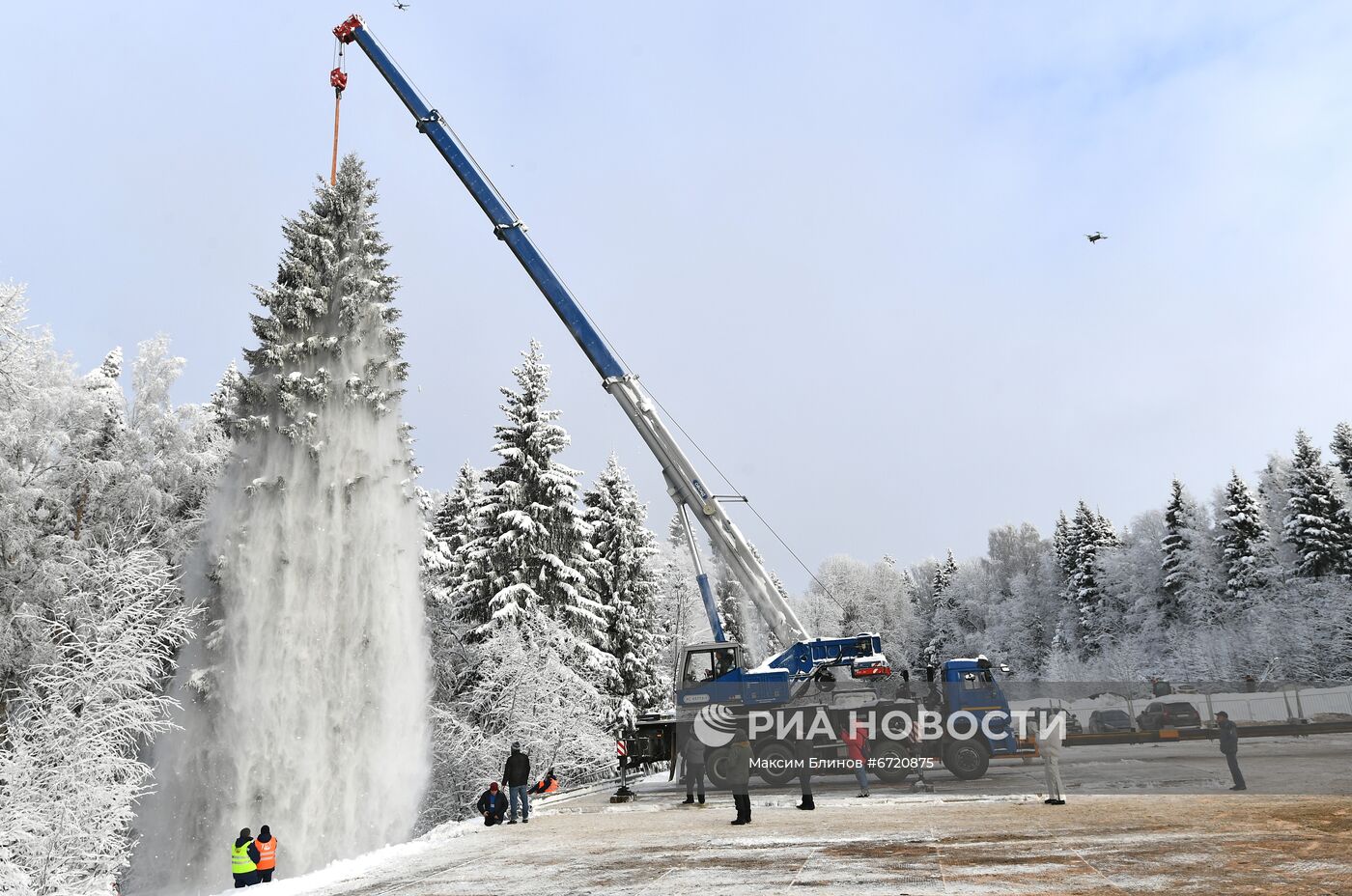 Рубка главной новогодней елки страны в Подмосковье