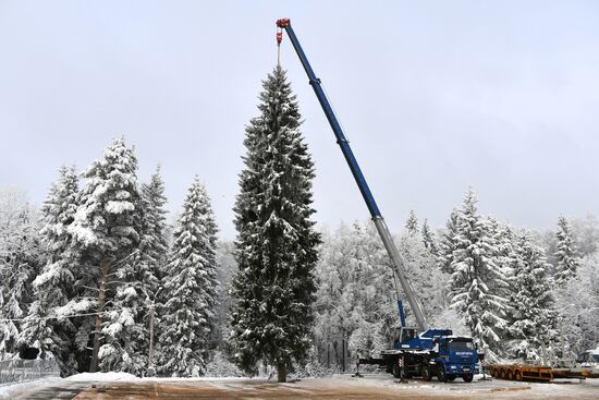 Фото месяца