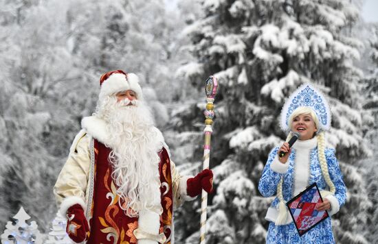 Рубка главной новогодней елки страны в Подмосковье